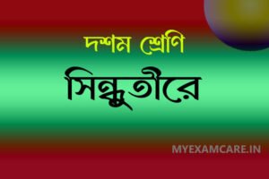 Read more about the article সিন্ধুতীরে কবিতা – সহজ আলোচনা