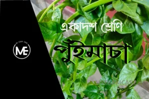 Read more about the article পুঁইমাচা গল্পের প্রশ্ন উত্তর | একাদশ শ্রেণি বাংলা