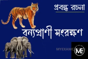 Read more about the article বন্যপ্রাণী সংরক্ষণের প্রয়োজনীয়তা
