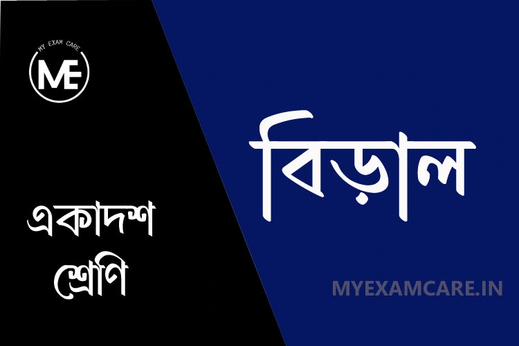 You are currently viewing বিড়াল প্রবন্ধের প্রশ্ন উত্তর | একাদশ শ্রেণি বাংলা