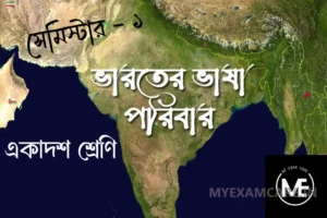Read more about the article ভারতের ভাষা পরিবার | একাদশ শ্রেণি বাংলা প্রশ্ন উত্তর | ভাষা ও সংস্কৃতি