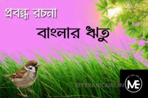 Read more about the article বাংলার ঋতু বৈচিত্র্য | প্রবন্ধ রচনা